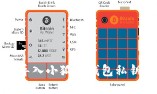 如何轻松导入小狐狸钱包私钥到手机端