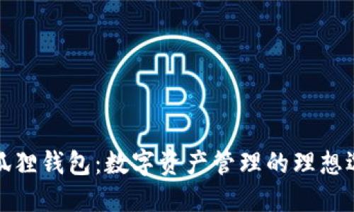 小狐狸钱包：数字资产管理的理想选择