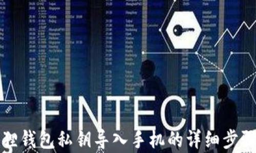 
小狐狸钱包私钥导入手机的详细步骤解析