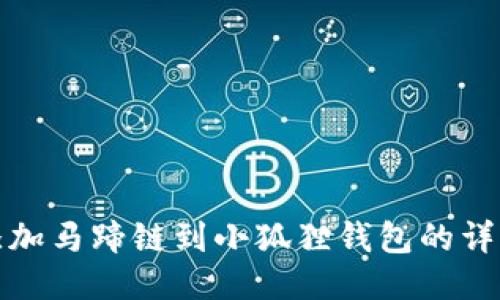 轻松添加马蹄链到小狐狸钱包的详细教程