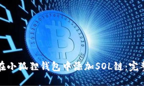 如何在小狐狸钱包中添加SOL链：完整指南
