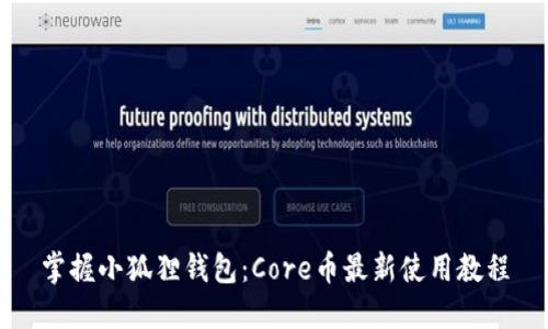 掌握小狐狸钱包：Core币最新使用教程