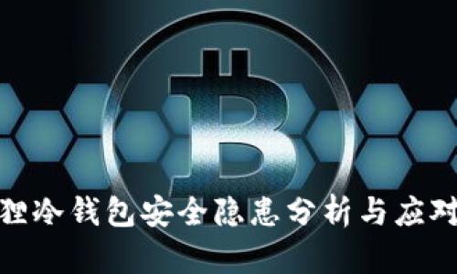 小狐狸冷钱包安全隐患分析与应对措施