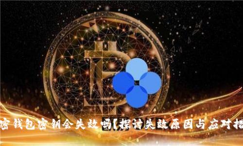 加密钱包密钥会失效吗？探讨失效原因与应对措施