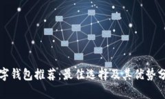 数字钱包推荐：最佳选择及其优势分析