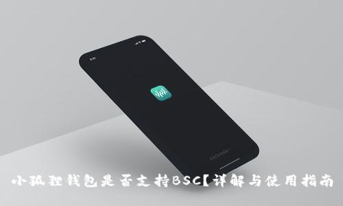 小狐狸钱包是否支持BSC？详解与使用指南