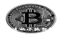 如何选择合适的小狐狸钱包手续费？