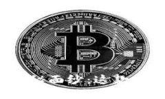 揭开小狐狸钱包的神秘面纱：这款软件能为你带