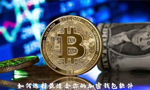 
如何选择最适合你的加密钱包软件