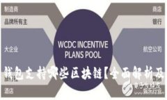 : 小狐狸钱包支持哪些区块链？全面解析及应用场