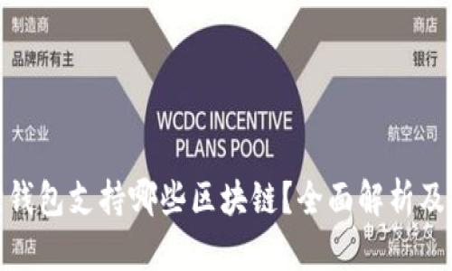 : 小狐狸钱包支持哪些区块链？全面解析及应用场景