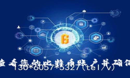 : 如何查看您的比特币账户并确保安全性