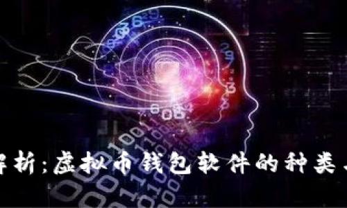 全面解析：虚拟币钱包软件的种类与选择