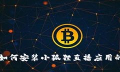 苹果手机如何安装小狐狸直播应用的详细指南