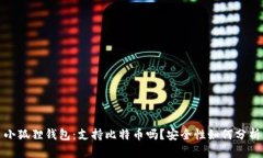 小狐狸钱包：支持比特币吗？安全性如何分析