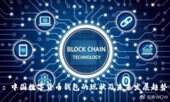 : 中国数字货币钱包的现状及未来发展趋势