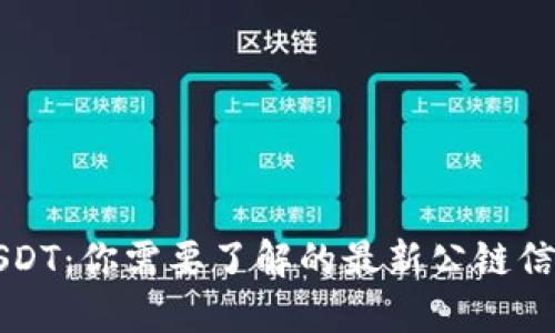 USDT：你需要了解的最新公链信息