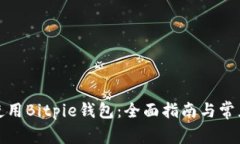 如何安全使用Bitpie钱包：全面指南与常见问题解