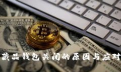 数字藏品钱包关闭的原因与应对策略