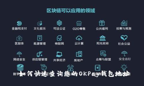  如何快速查询您的OKPay钱包地址