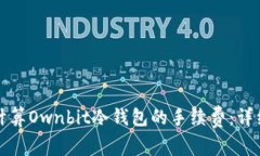 如何计算Ownbit冷钱包的手续费：详细指南
