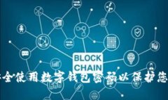 如何安全使用数字钱包密码以保护您的资产