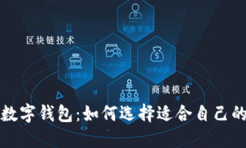 全球最佳数字钱包：如何选择适合自己的数字钱包
