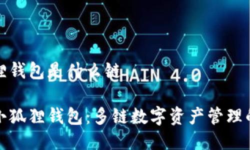 小狐狸钱包是什么链

探索小狐狸钱包：多链数字资产管理的未来