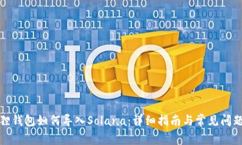 小狐狸钱包如何导入Solana：详细指南与常见问题解答