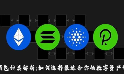  
区块链钱包种类解析：如何选择最适合你的数字资产管理工具