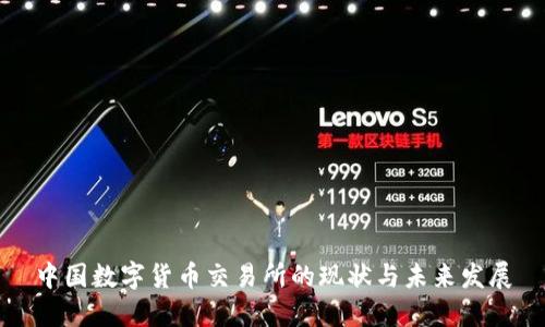 中国数字货币交易所的现状与未来发展