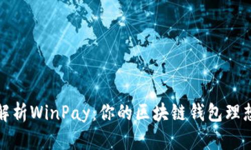 全面解析WinPay：你的区块链钱包理想选择