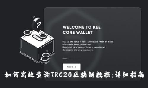 如何高效查询TRC20区块链数据：详细指南
