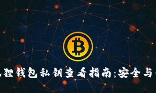 小狐狸钱包私钥查看指南：安全与便捷