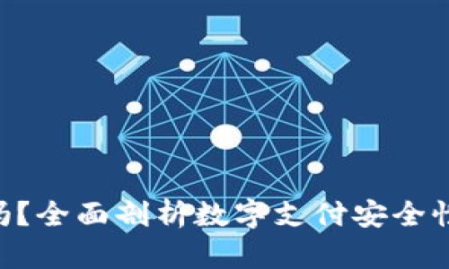Gopay安全吗？全面剖析数字支付安全性与风险防控