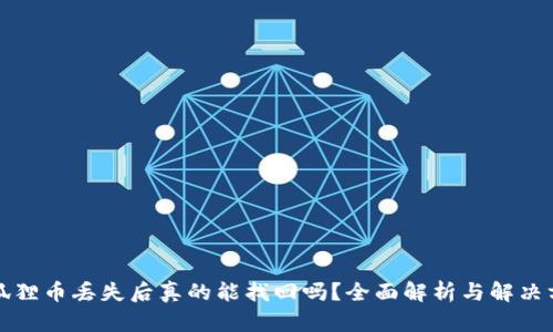 小狐狸币丢失后真的能找回吗？全面解析与解决方案