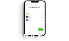   如何为小狐狸钱包添加网络连接，实现更高效的