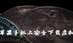 如何在苹果手机上安全下载虚拟币软件