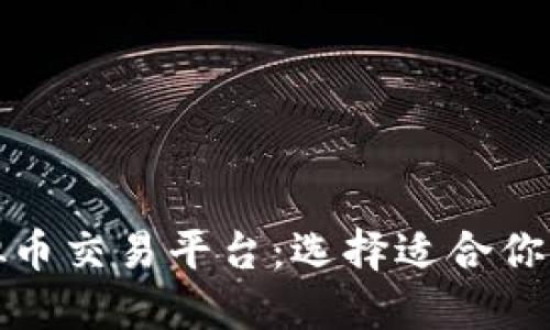 最好的虚拟币交易平台：选择适合你的平台指南