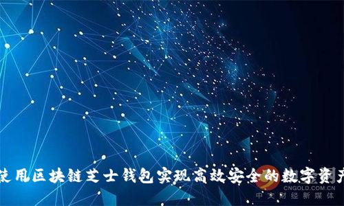 如何使用区块链芝士钱包实现高效安全的数字资产管理