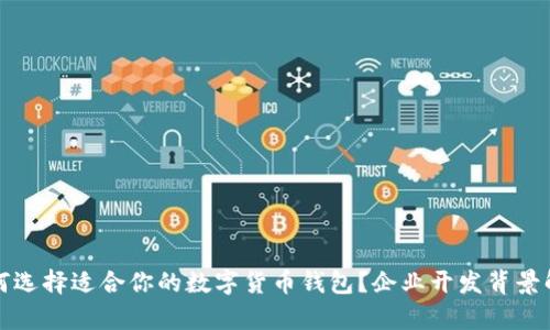 如何选择适合你的数字货币钱包？企业开发背景解析