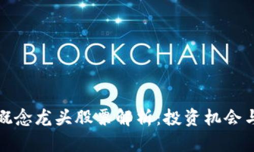 数字货币概念龙头股票解析：投资机会与风险分析