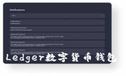 如何安全使用Ledger数字货币钱包：新手完全指南