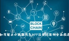 如何解决小狐狸钱包APP注册问题的全面指南