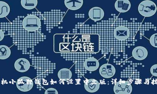 手机小狐狸钱包如何设置中文版：详细步骤与技巧
