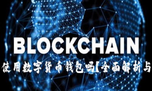 现在可以使用数字货币钱包吗？全面解析与使用指南