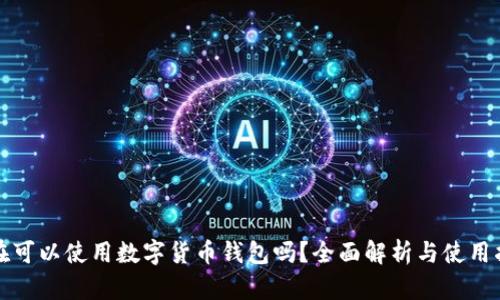现在可以使用数字货币钱包吗？全面解析与使用指南