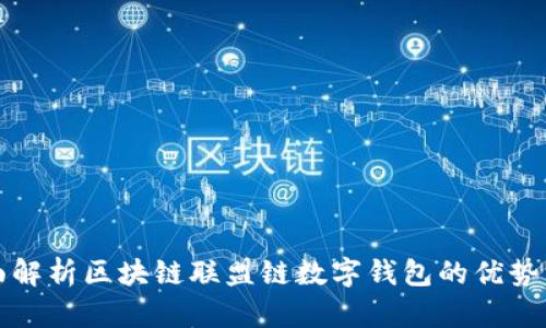 : 全面解析区块链联盟链数字钱包的优势与应用