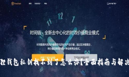 小狐狸钱包私钥找不到了怎么办？全面指南与解决方案