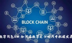 全球数字钱包DW：如何在数字支付时代中把握发展